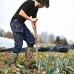 Farm Foreman Jobs in Dubai