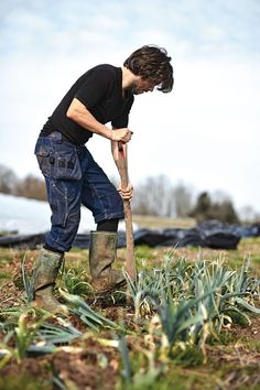 Farm Foreman Jobs in Dubai 