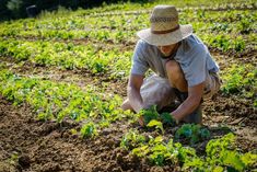 Farm Foreman Jobs in Dubai  