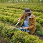 Farm Worker Jobs in Dubai