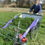 Farm Assistant Jobs in Auckland