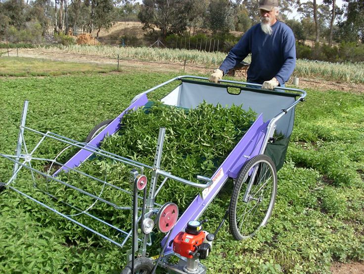 Farm Assistant Jobs in Auckland 