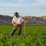 Farm Foreman Jobs in Dubai