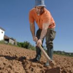 Farm Foreman Jobs in Dubai