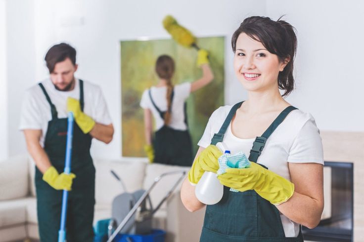 Cleaners Wanted Jobs in Auckland