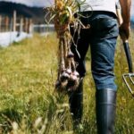 Farm Foreman Jobs in Dubai