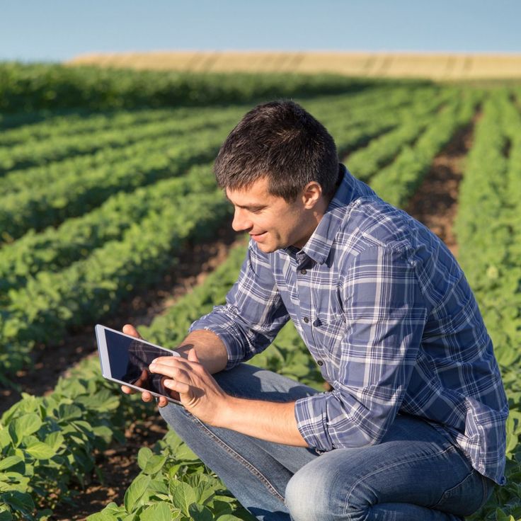 Farm Supervisor Jobs in Dubai
