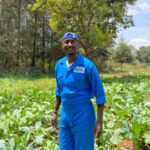 Farm Assistant Job in New Zealand