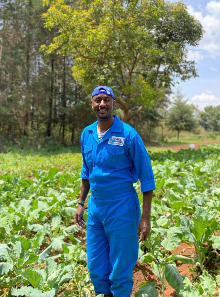 Farm Assistant Job in New Zealand