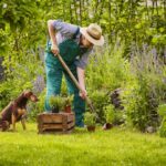 Gardener Job in Abu Dhabi