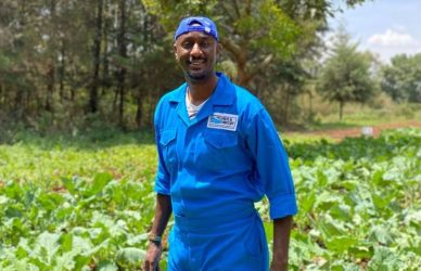 Farm Assistant Job in New Zealand